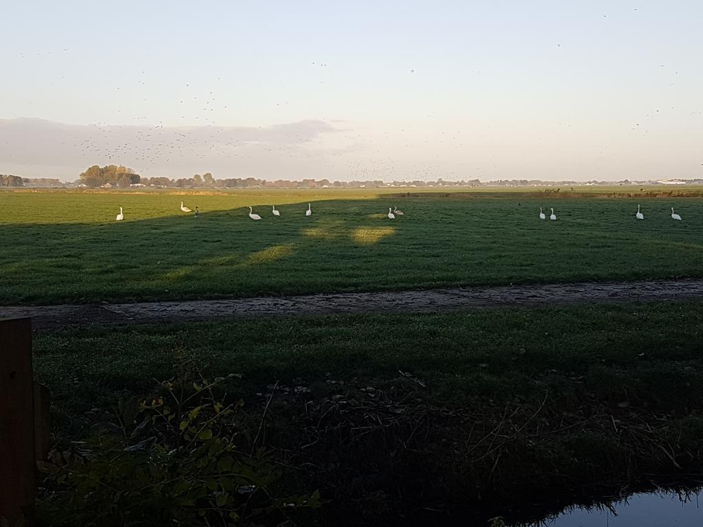 Bed & Breakfast De Koegang Zuidermeer Esterno foto
