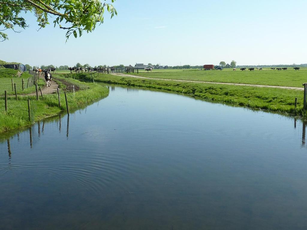 Bed & Breakfast De Koegang Zuidermeer Esterno foto